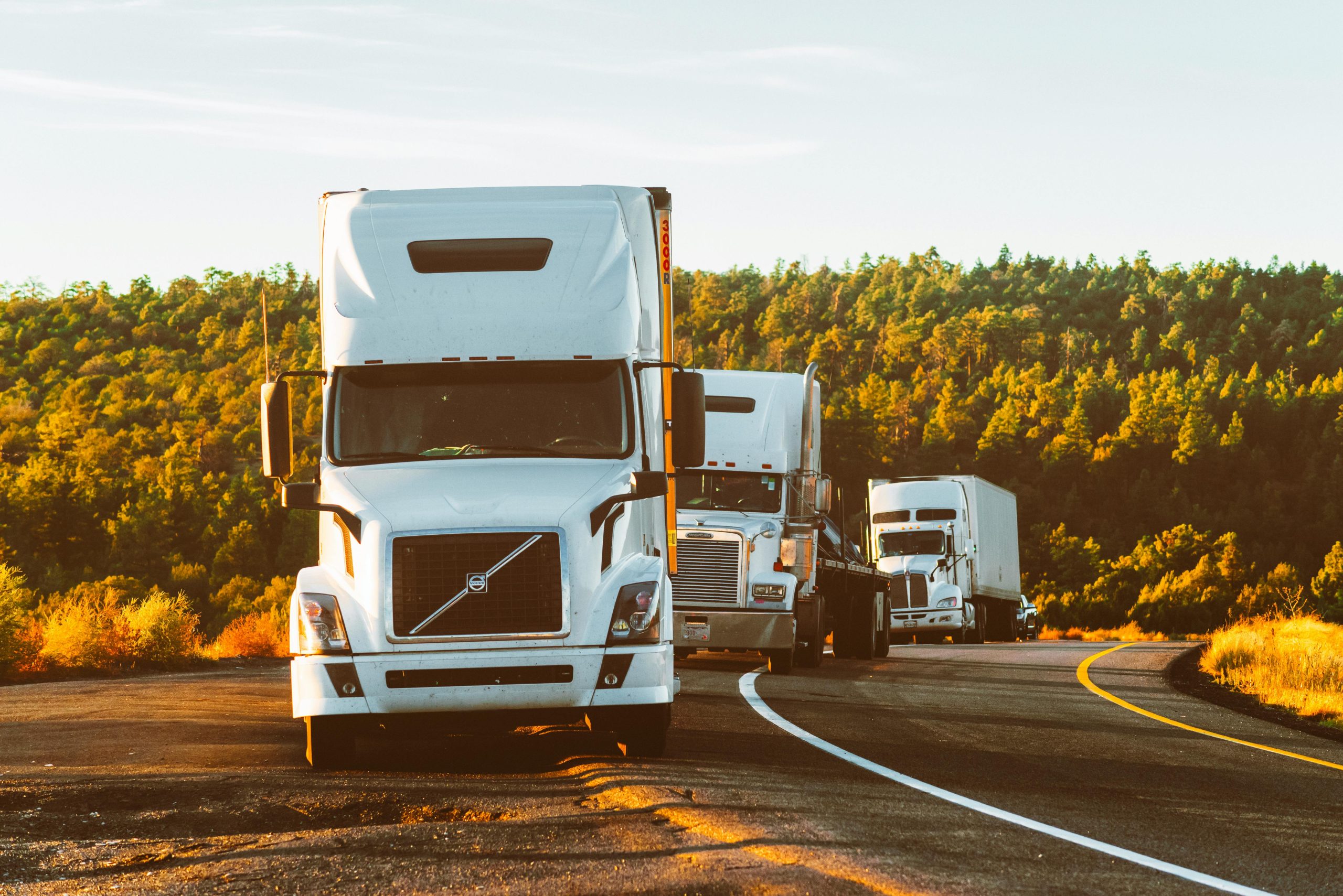 Fleet of trucks on international road freight – MISAWA Swift logistics